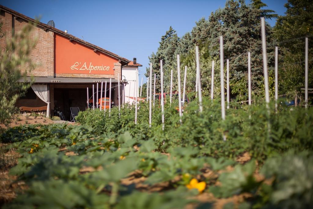 La Ca Dal Non Bioagriturismo - Alpenice Savignano sul Panaro Exterior foto