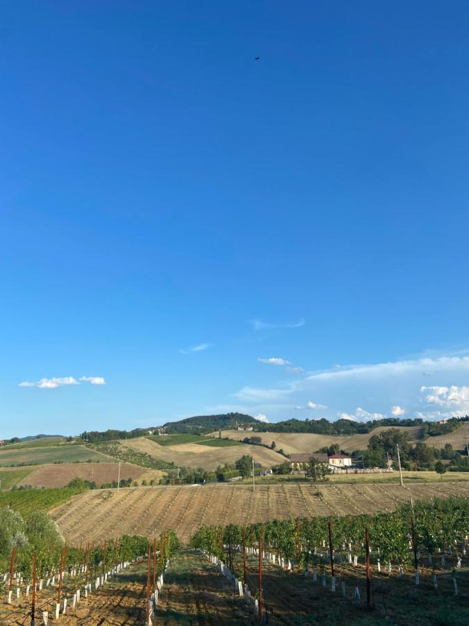 La Ca Dal Non Bioagriturismo - Alpenice Savignano sul Panaro Exterior foto