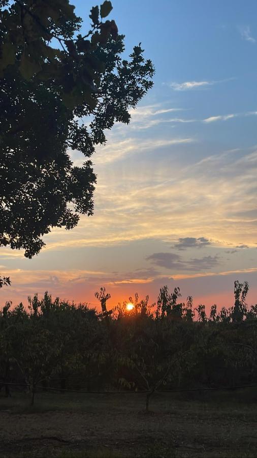 La Ca Dal Non Bioagriturismo - Alpenice Savignano sul Panaro Exterior foto