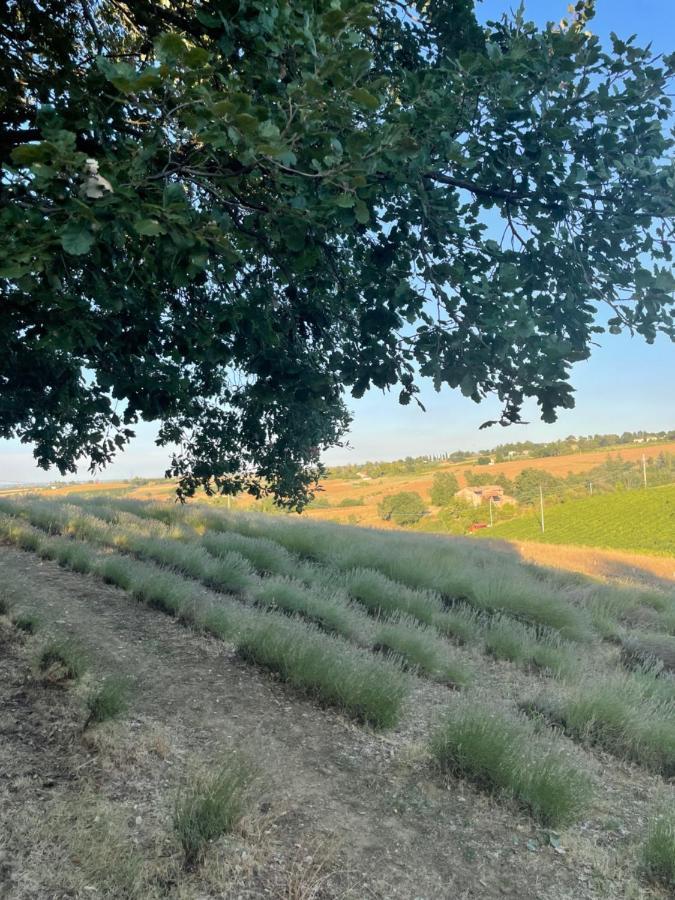 La Ca Dal Non Bioagriturismo - Alpenice Savignano sul Panaro Exterior foto