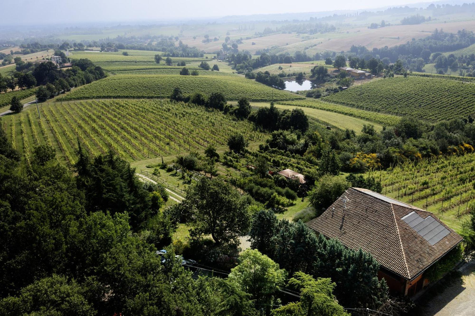 La Ca Dal Non Bioagriturismo - Alpenice Savignano sul Panaro Exterior foto