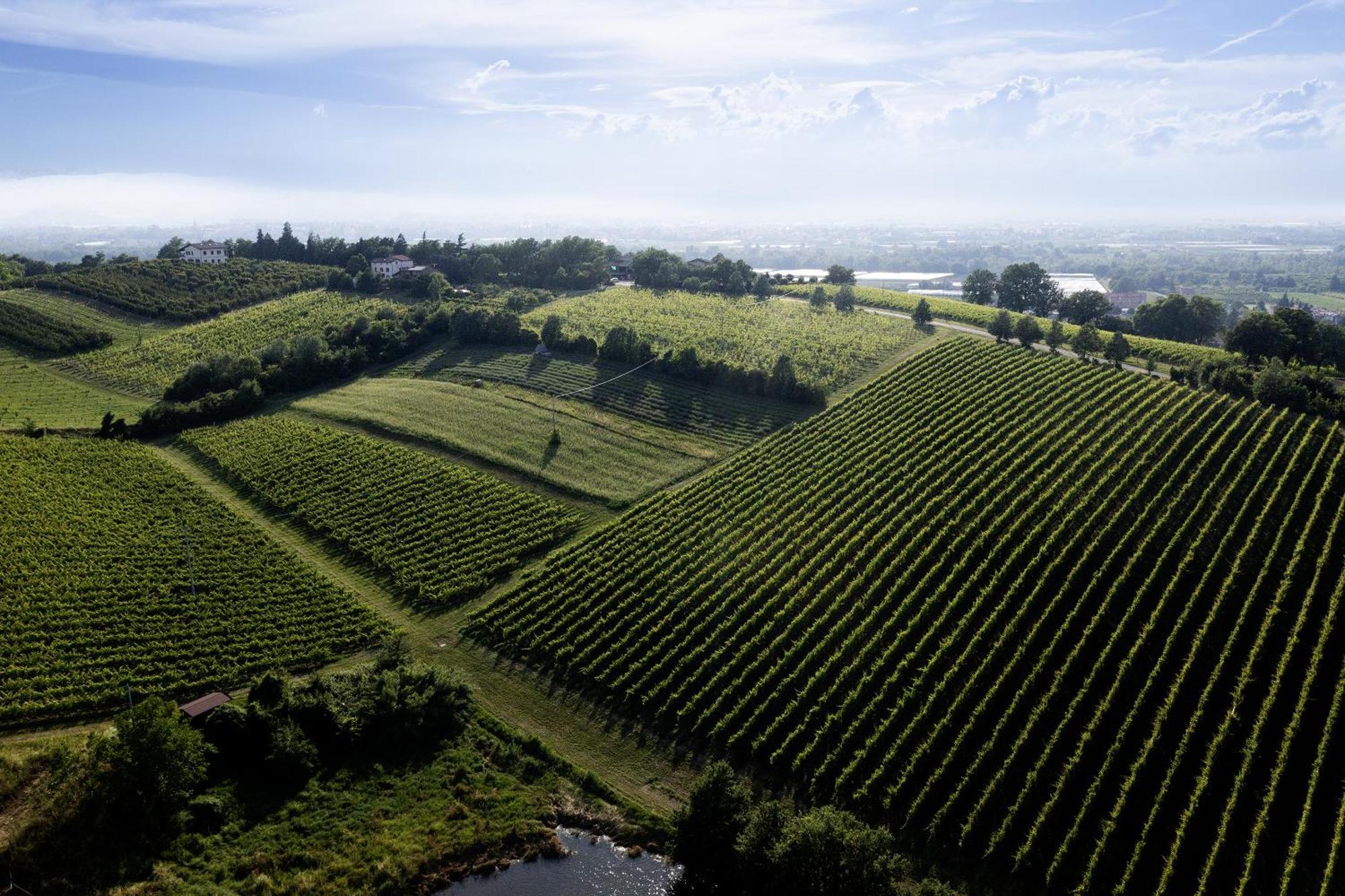 La Ca Dal Non Bioagriturismo - Alpenice Savignano sul Panaro Exterior foto