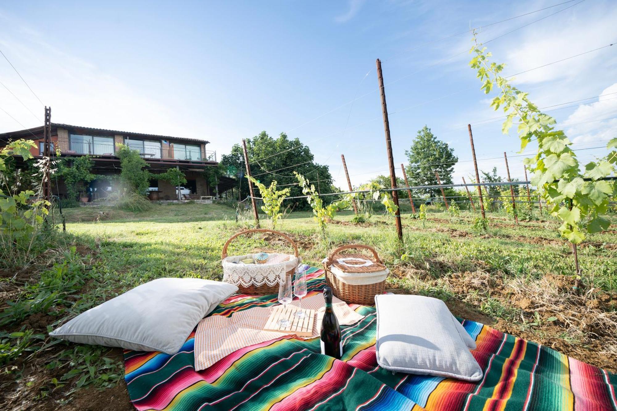 La Ca Dal Non Bioagriturismo - Alpenice Savignano sul Panaro Exterior foto