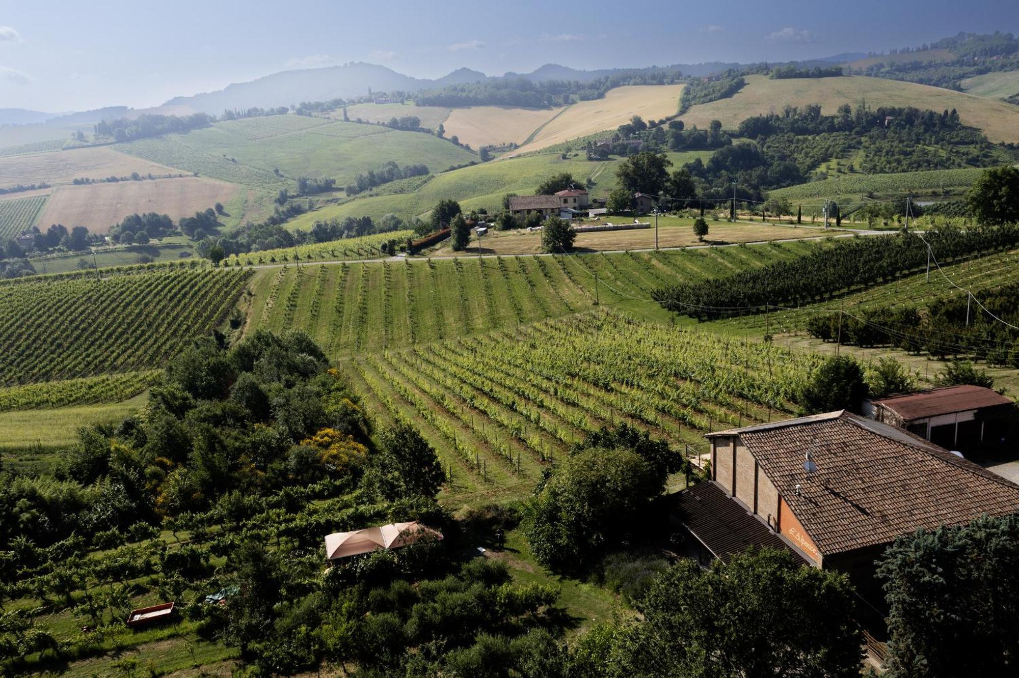 La Ca Dal Non Bioagriturismo - Alpenice Savignano sul Panaro Exterior foto
