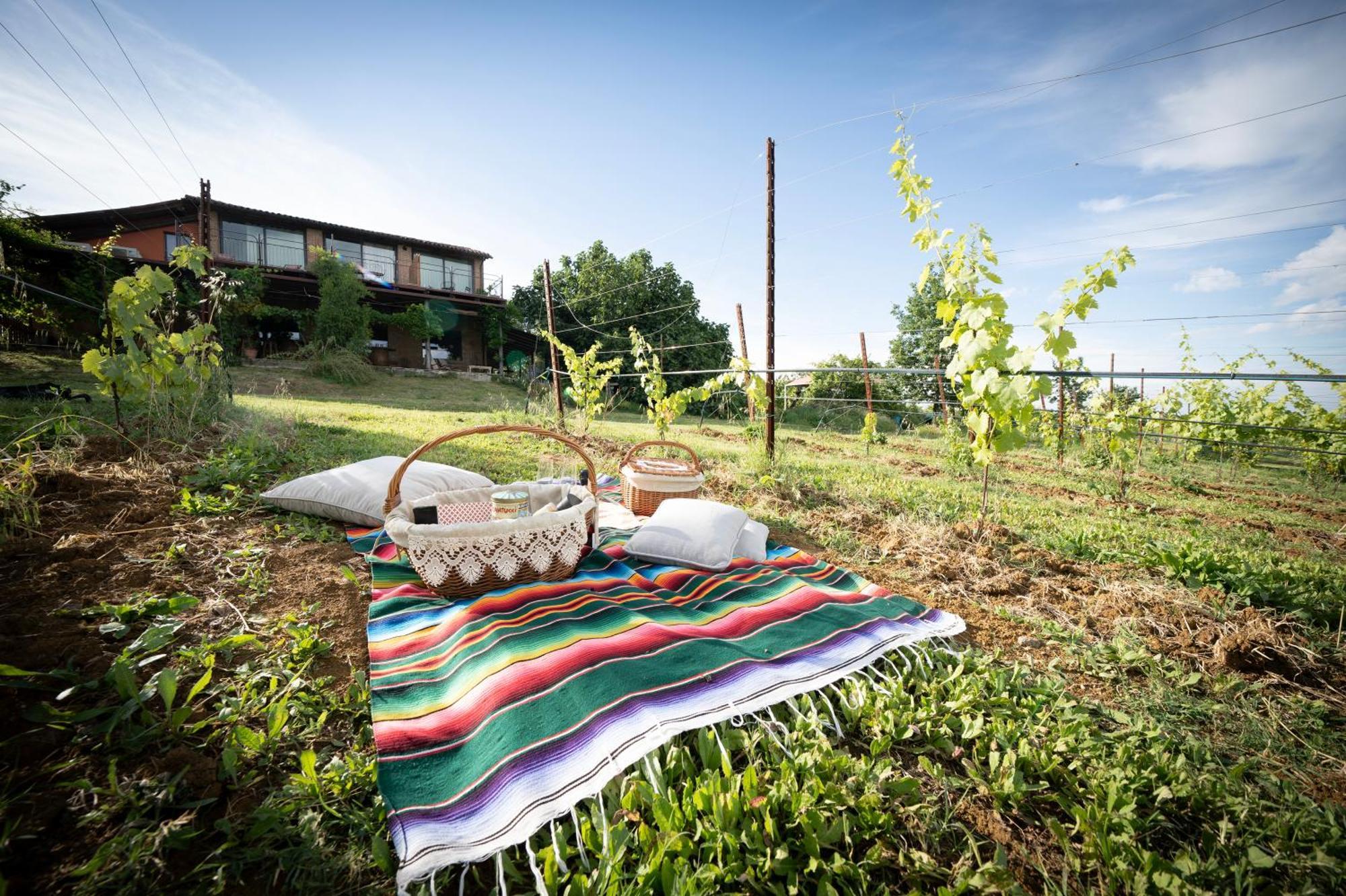 La Ca Dal Non Bioagriturismo - Alpenice Savignano sul Panaro Exterior foto