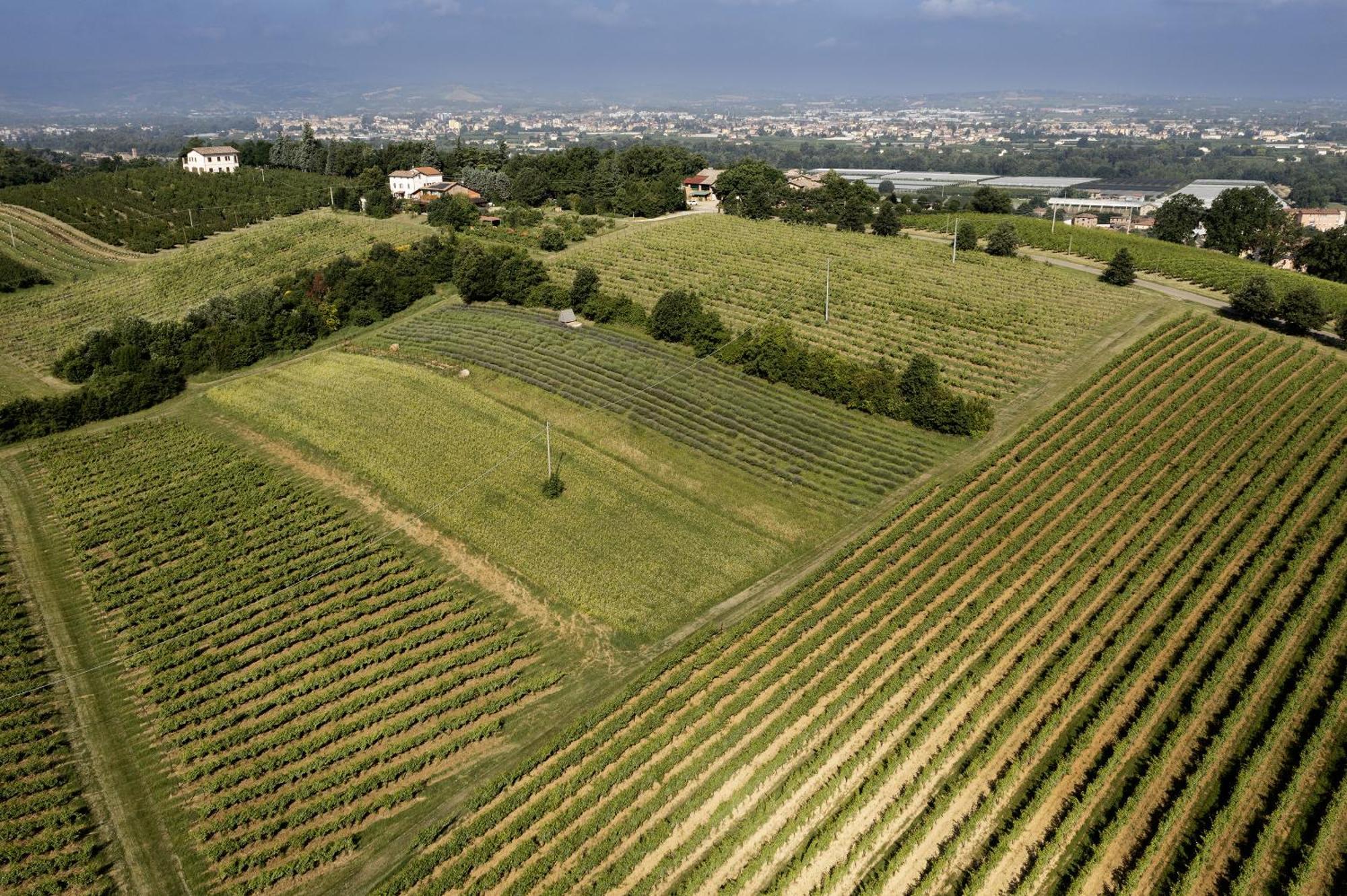 La Ca Dal Non Bioagriturismo - Alpenice Savignano sul Panaro Exterior foto