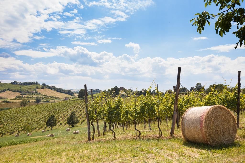 La Ca Dal Non Bioagriturismo - Alpenice Savignano sul Panaro Exterior foto